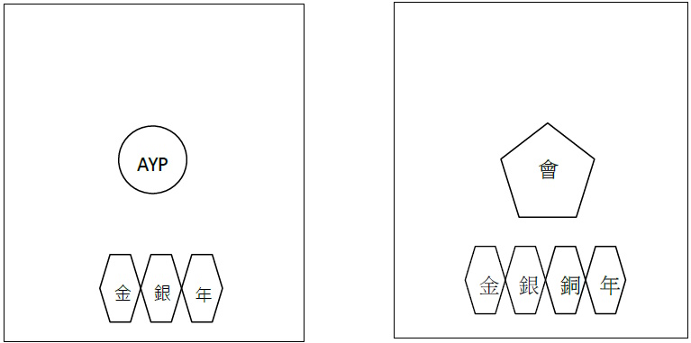 奖章(一)至(八)佩戴方法图片