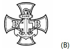 高级组十架章图片